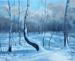 Krajina zapadaná tichem  80x100